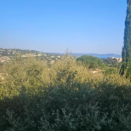 Gabada